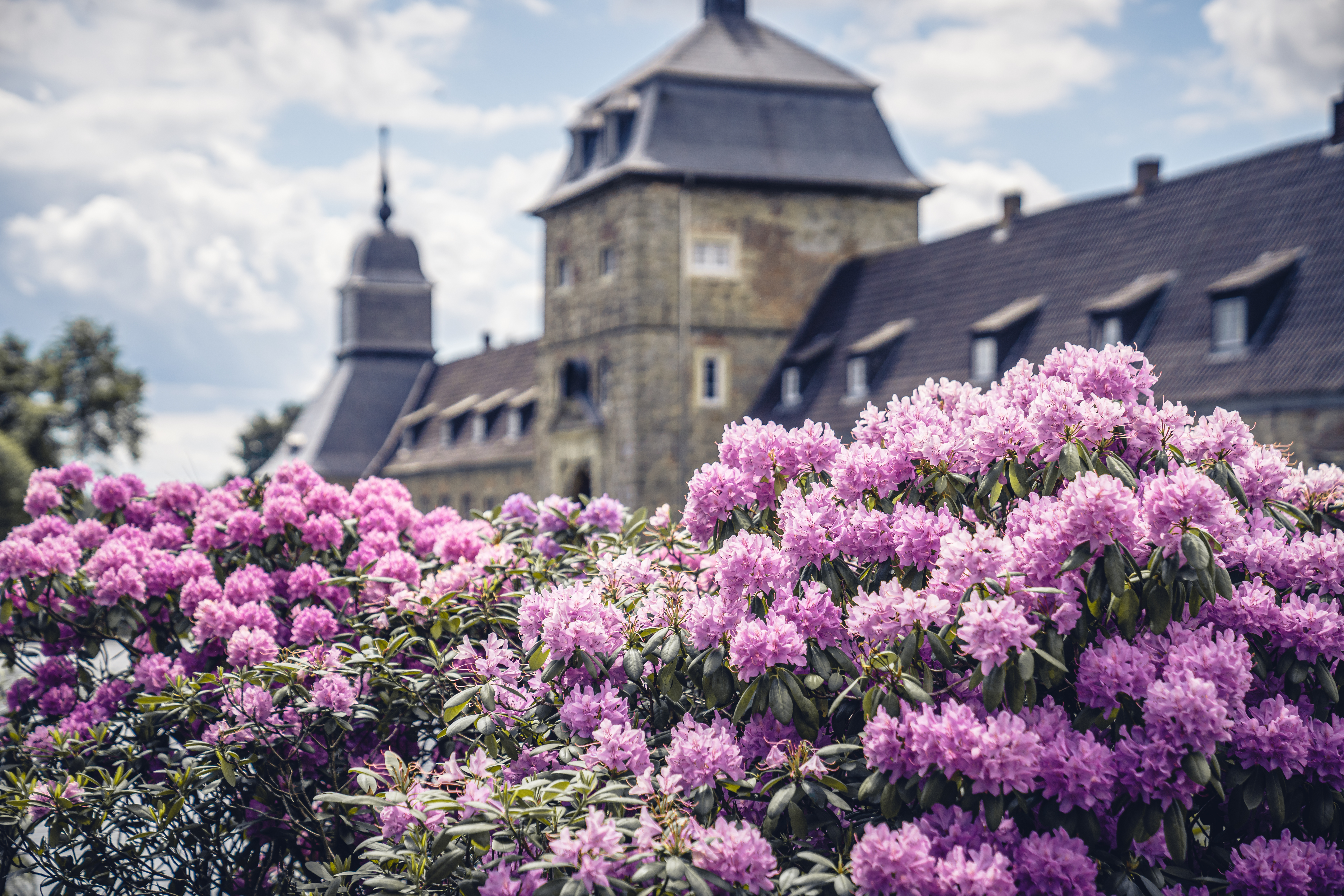 Schloss Lembeck in Dorsten mit Museum, Park und Kulturprogramm